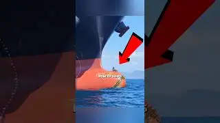 Why Seals Sit On Ship Bulbous Bow