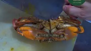 Shao Yellow Roe BBQ Crab