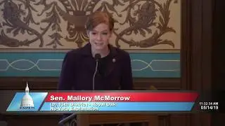 Sen McMorrow Votes No on Bills Banning Legal Abortion