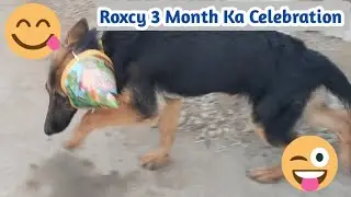 Roxcy Ka 3 Month Ka Celebration 🥳🥳🥳🥳 Roxcy Ne Apna Celebration Topi Ke Sath Kiya 🤠🤠🤠🤠