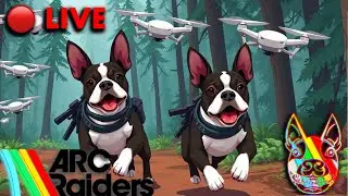 🔴 LIVE Arc Raiders: BIRD CITY!