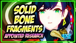SOLID BONE FRAGMENTS Tower of Fantasy LOOP ROUTE FARM with Interactive map