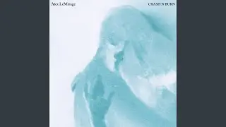 CRASH N BURN