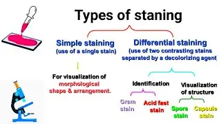 Types of staining || Comman Staning techniques || Part -1