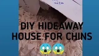 Must have diy chinchilla hideaway house!