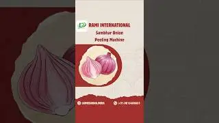 Hi Speed Sambhar Onion Peeling Machine🧅Automatic Onion Skin Remover Machine🍲#sambhar #peelingmachine