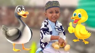 Yellow Duck balloon animal | Islamic daily baby vlog | Muslim baby vlog | Asad Babu #viralvideo 
