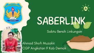 SABERLINK