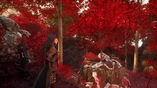 How To Unlock the Hidden Paint Cage in Ancient Sanctuary | Quick Guide | Clair Obscur: Expedition 33