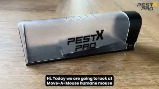 Pest X Pro Move-a-Mouse Humane Mouse Trap - Setup and Tips