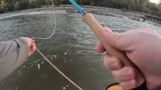 Estabrook Park Milwaukee river salmon run (10/16/25) bonus: construction improve stream conditions 