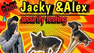 Jacky & Alex security testing. aj hamny jacky aur alex ka security test lia #petvlog