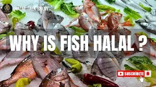 Why Is Fish Halal? | Understanding Halal Seafood in Islam 🐟 | Halal Food Explained