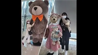 TEDDY BEAR MUSEUM / JEJU ISLAND