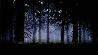 2026년 NUFORC의 UFO/UAP 2월 신고 건수는 400건을 넘을까?