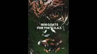 ছাগল দিয়ে মেসির ছবি। 808 goat for messi image. #short #backgroundmusic #messifans