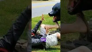 Joe Rogan the BEAROLOGIST!! 🗣️📢🎉#joerogan #podcast #viral #bear