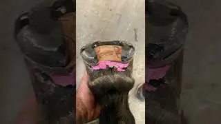 A horse shod in a custom rail shoe #horse