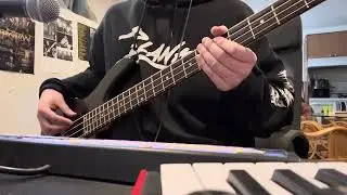 Bass cover - The killing womb 