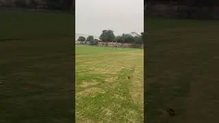 Cricket pitch marking cricket stadium grass cutting cricket ground grass cutting #shortvideo #shorts
