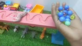 Epic Marble Run 🌈 ASMR HABA Slope & Dump Truck Race Mania!