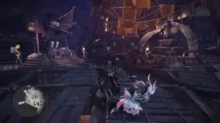 HR 80+  Full augmentation with life steal dual blades