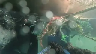 Christmas Eve dive work