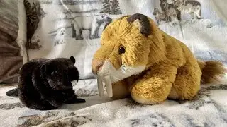 Timber the Beaver 🦫