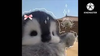 على طلبكم 😽🌺