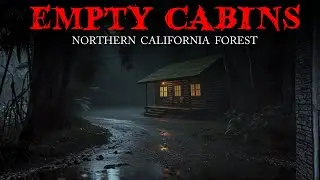 10 Disturbing True Forest Horror Stories from Northern California | The Vanishing Campers
