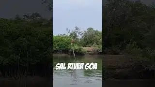 SAL RIVER - The Most EXCITING River In Goa #temple #shorts