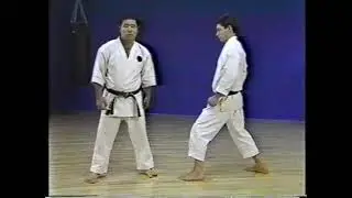 goju ryu kicking techniques morio higaonna
