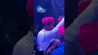 Ame Dadhi Vala Rona 🦁 Gujarati DJ Song 2026 || Trending Remix #trending #shorts #viral