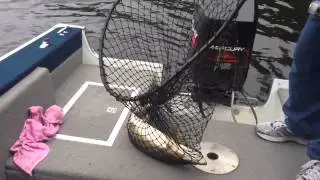 Fishing on Lower Saranac Lake