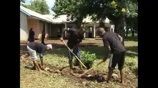 DSW's Youth to Youth (Y2Y) Initiative