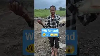 How to find Rohu fish spot || how to catch #fishing #viral #viralvideo
