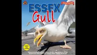 Essex Gull the Movie