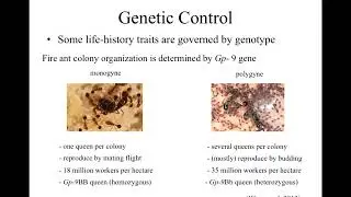 Dr. Bewick Introduction to Ecology Lesson 4