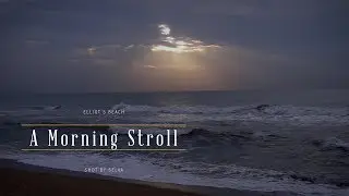 ELLIOT'S BEACH | A MORNING STROLL | Selva's Showreel |