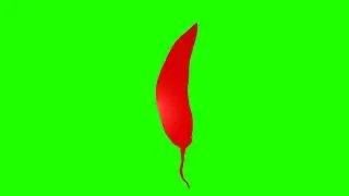 Chili Pepper Green Screen 🌶️