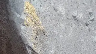 Gold finding #adventure #travel #gold #goldmines #nature #gold #prospecting #metal detecting