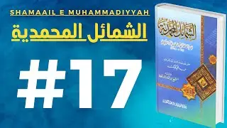 Huzur ﷺ Ki Zirah Mubarak Ka Bayan | Shamaile Muhammadiyyah | #17 | Mufti Ahmed Khanpuri