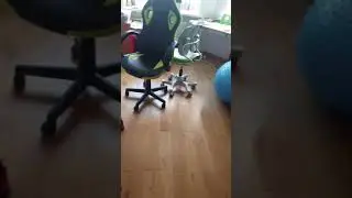 Шум #27