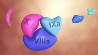 Coagulation Cascade