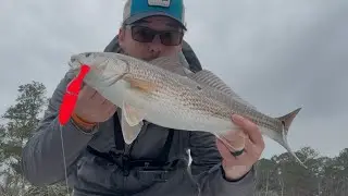 Giant Lure NO one is Fishing Baits This BIG! Saltwater Glide Bait