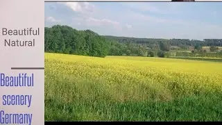 Beautiful summer Scenery Germany