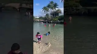 Посмотрите на этот прекрасный бассейн-лагуну в отеле Hilton Waikoloa Village на Большом острове! ...