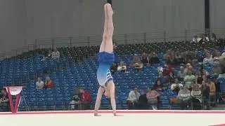 Jake Palmer - SILVER-Floor-MAG U14 App-2023 Gymnastics British Championships