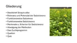 (Vortrag) Salztoleranz bei weißem Senf / Sinapis alba - Pflanzenzüchtung