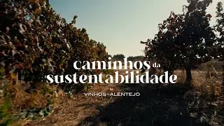 Alentejo Mais Sustentável | Caminhos da Sustentabilidade - Episódio 1